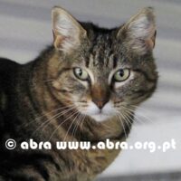 Nairóbi