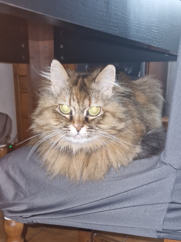 Luna