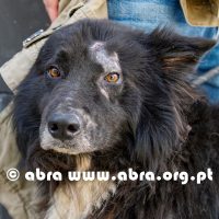 Dão