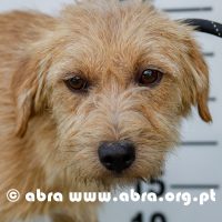 Líria