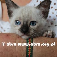 Alasca