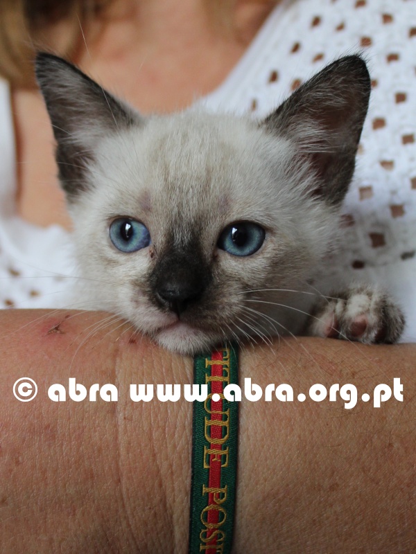 Alasca