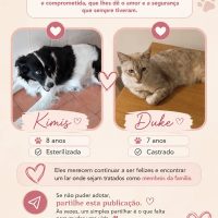 Kimis e Duke