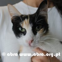 Egídia