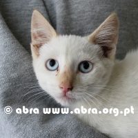 Oliver