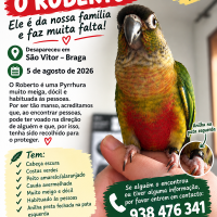 Apelo 15 - 2026
