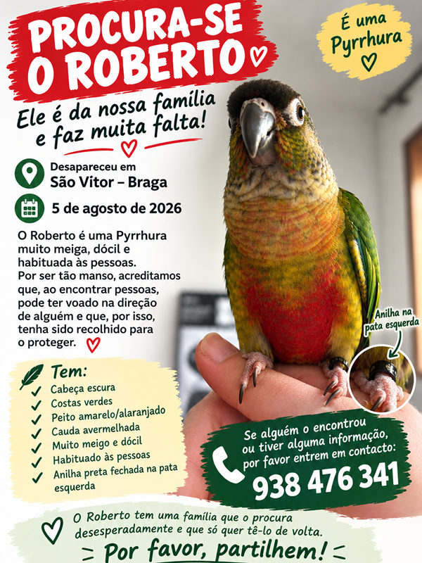 Apelo 15 – 2026
