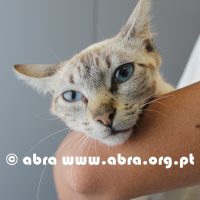 Patricka