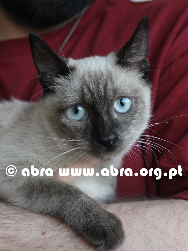 Rubi